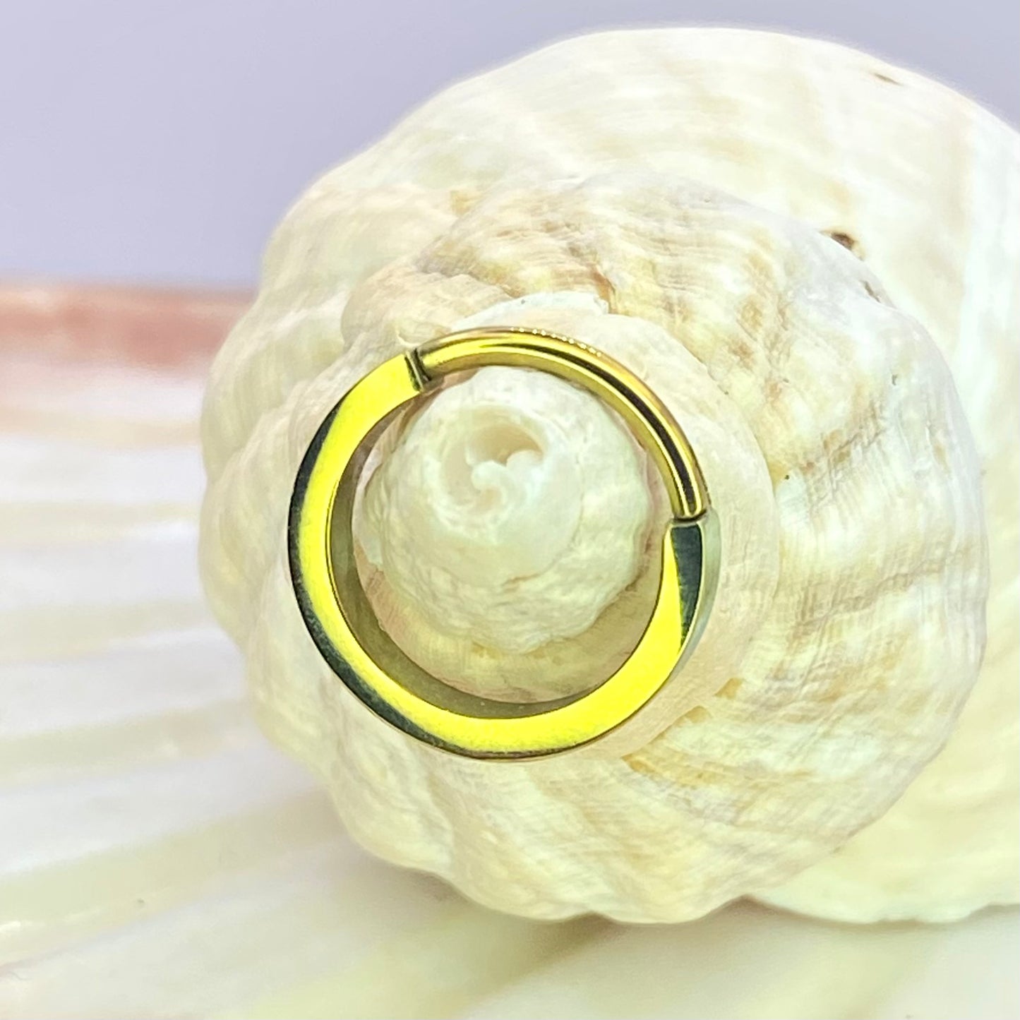 GOLD Colour Anodized 2mm Wide Band Hoop, Implant Grade Titanium Clicker Hoop, Lobe Earring, Helix Hoop, Septum Ring