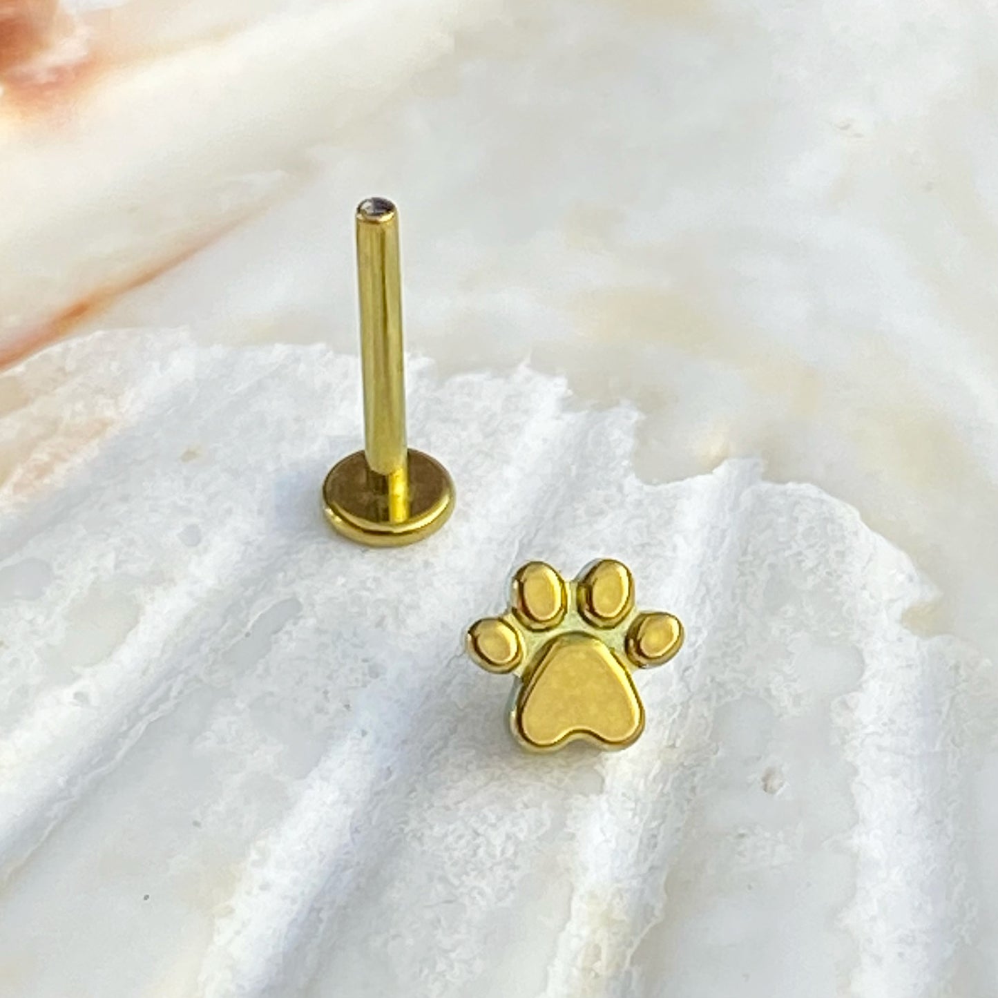 Gold ANODIZED PAW Print Top Implant Grade ASTM:F-136 Titanium Labret 1.2x6/8/10mm Earring Internal Thread Cartilage Helix stud