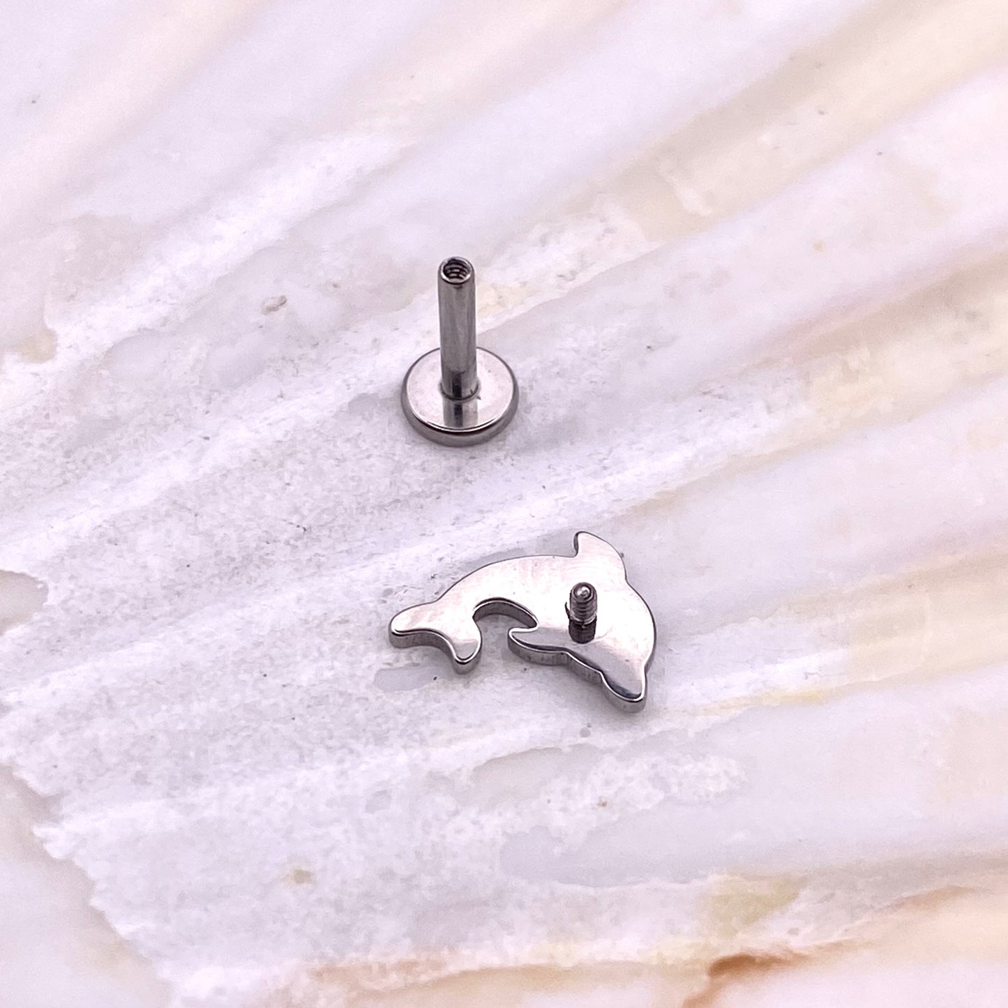 DOLPHIN Disc Top Internal Thread Medical grade titanium ASTM F136 Labret Stud Tragus Lobe Helix Flat Piercing Jewellery size:1.2 x 6/8/10mm