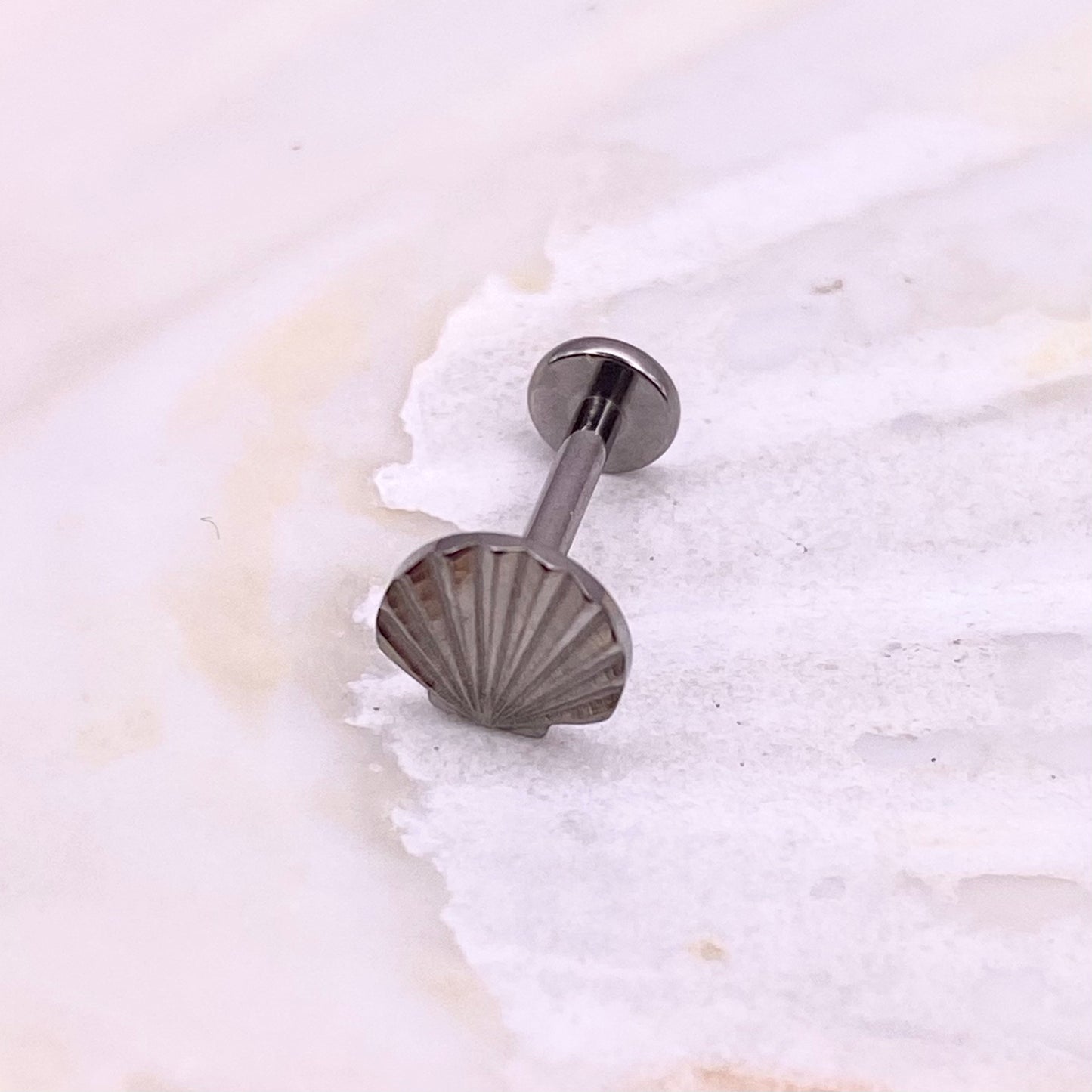 Sea SHELL Disc Top Internal Thread Medical grade titanium ASTM F136 Labret Stud Tragus Lobe Helix Flat Jewellery size:1.2x8mm