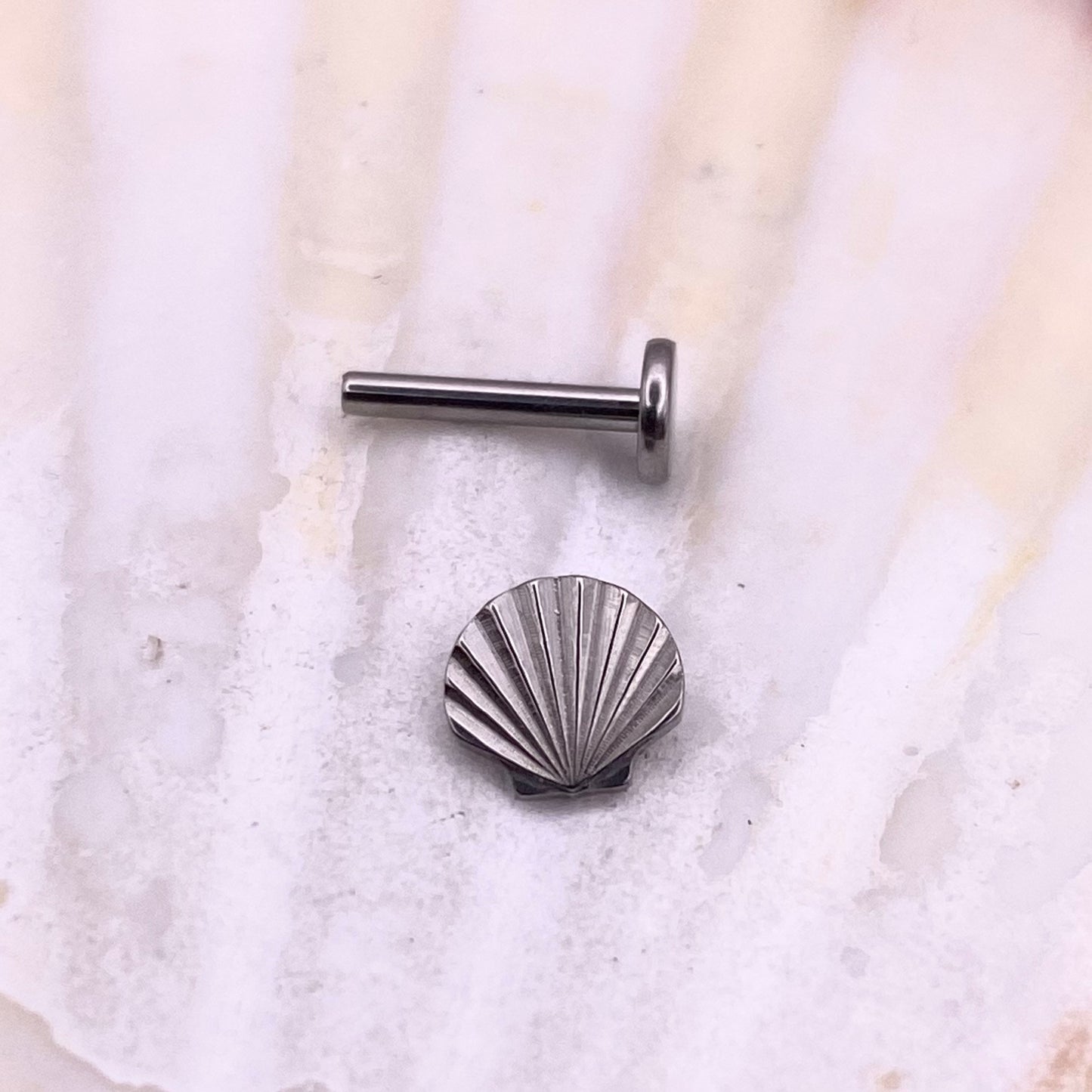 Sea SHELL Disc Top Internal Thread Medical grade titanium ASTM F136 Labret Stud Tragus Lobe Helix Flat Jewellery size:1.2x8mm