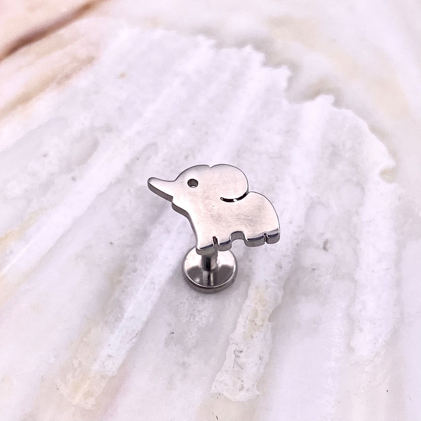 ELEPHANT Disc Top Internal Thread Medical grade titanium ASTM F136 Labret Stud Tragus Lobe Helix Flat Piercing Jewellery size:1.2 x 6/8/10mm