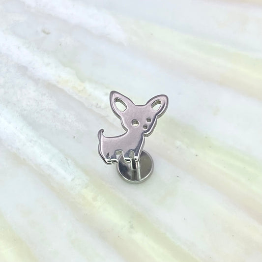 Little Dog, CHIHUAHUA Disc Top Internal Thread Medical grade titanium ASTM F136 Labret Stud Tragus Lobe Helix Flat size:1.2 x 6/8/10mm