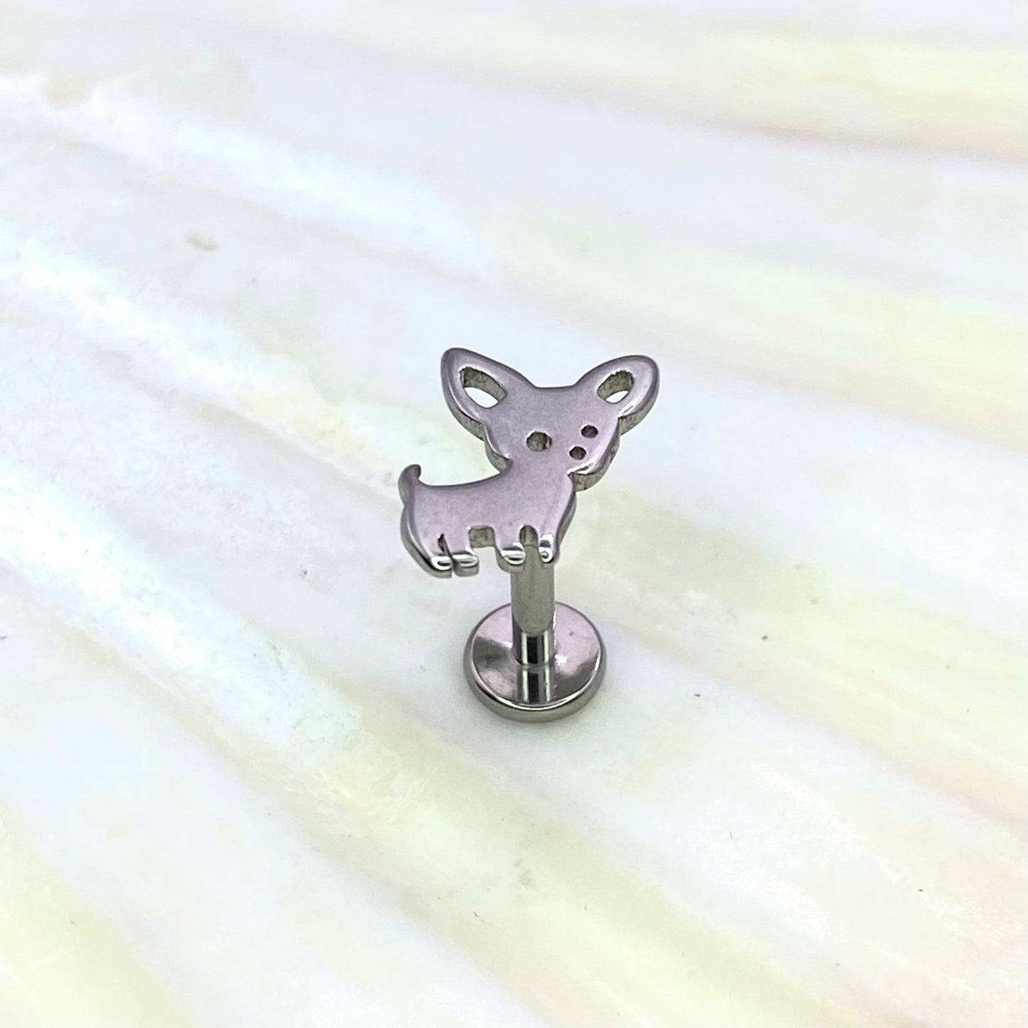 Little Dog, CHIHUAHUA Disc Top Internal Thread Medical grade titanium ASTM F136 Labret Stud Tragus Lobe Helix Flat size:1.2 x 6/8/10mm