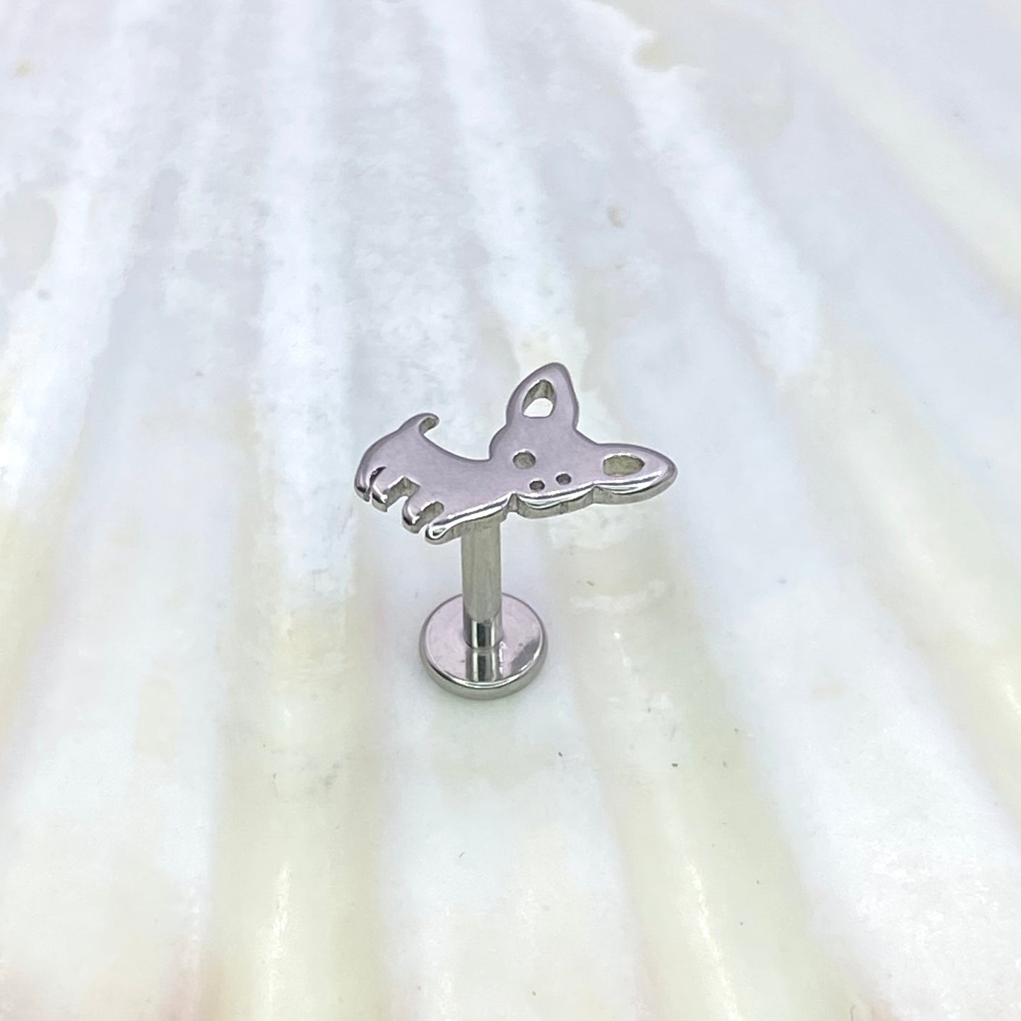 Little Dog, CHIHUAHUA Disc Top Internal Thread Medical grade titanium ASTM F136 Labret Stud Tragus Lobe Helix Flat size:1.2 x 6/8/10mm