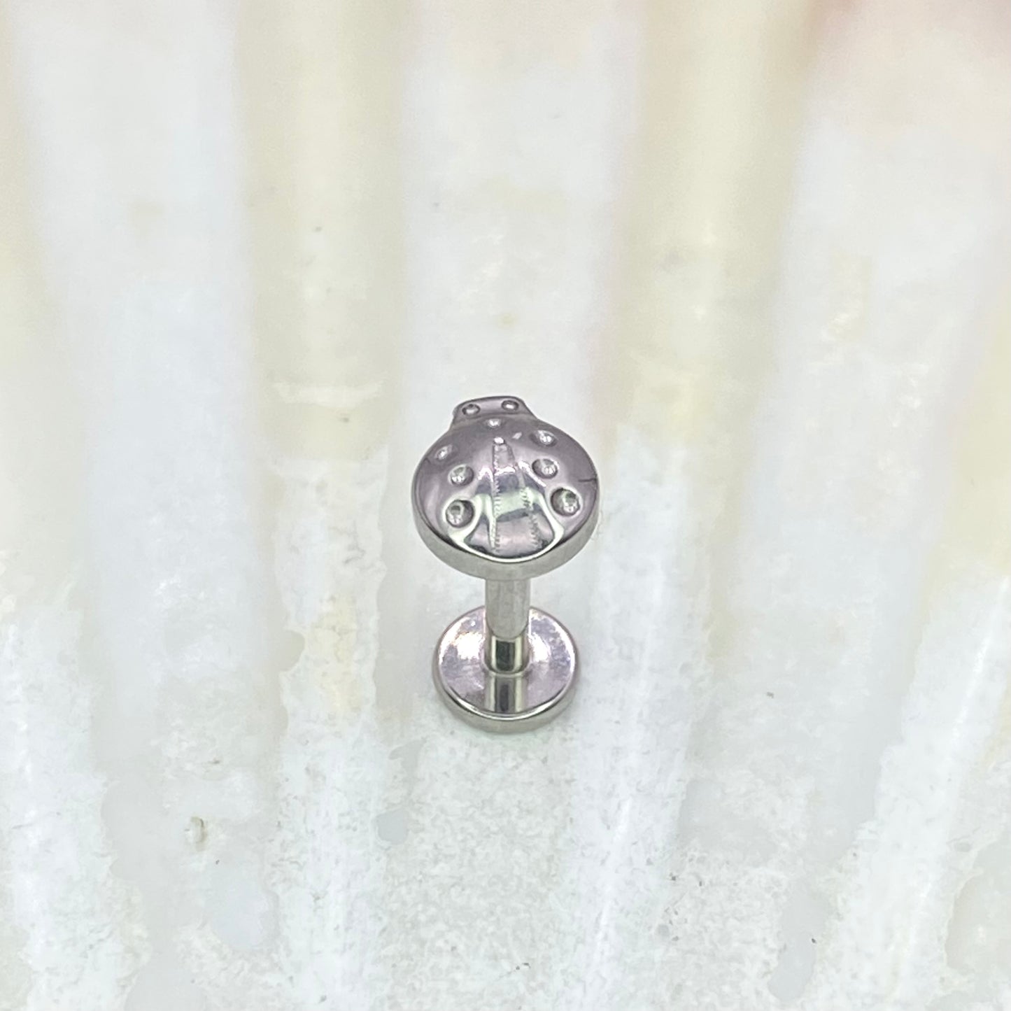 LADYBIRD Disc Top Internal Thread Medical grade titanium ASTM F136 Labret Stud Tragus Lobe Helix Flat Piercing Jewellery size:1.2 x 6/8/10mm