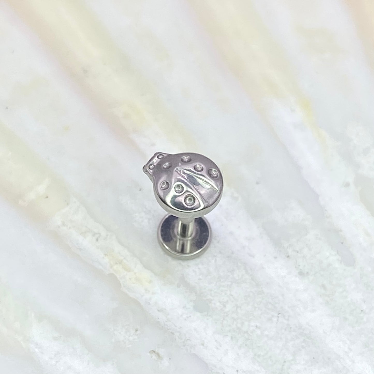 LADYBIRD Disc Top Internal Thread Medical grade titanium ASTM F136 Labret Stud Tragus Lobe Helix Flat Piercing Jewellery size:1.2 x 6/8/10mm