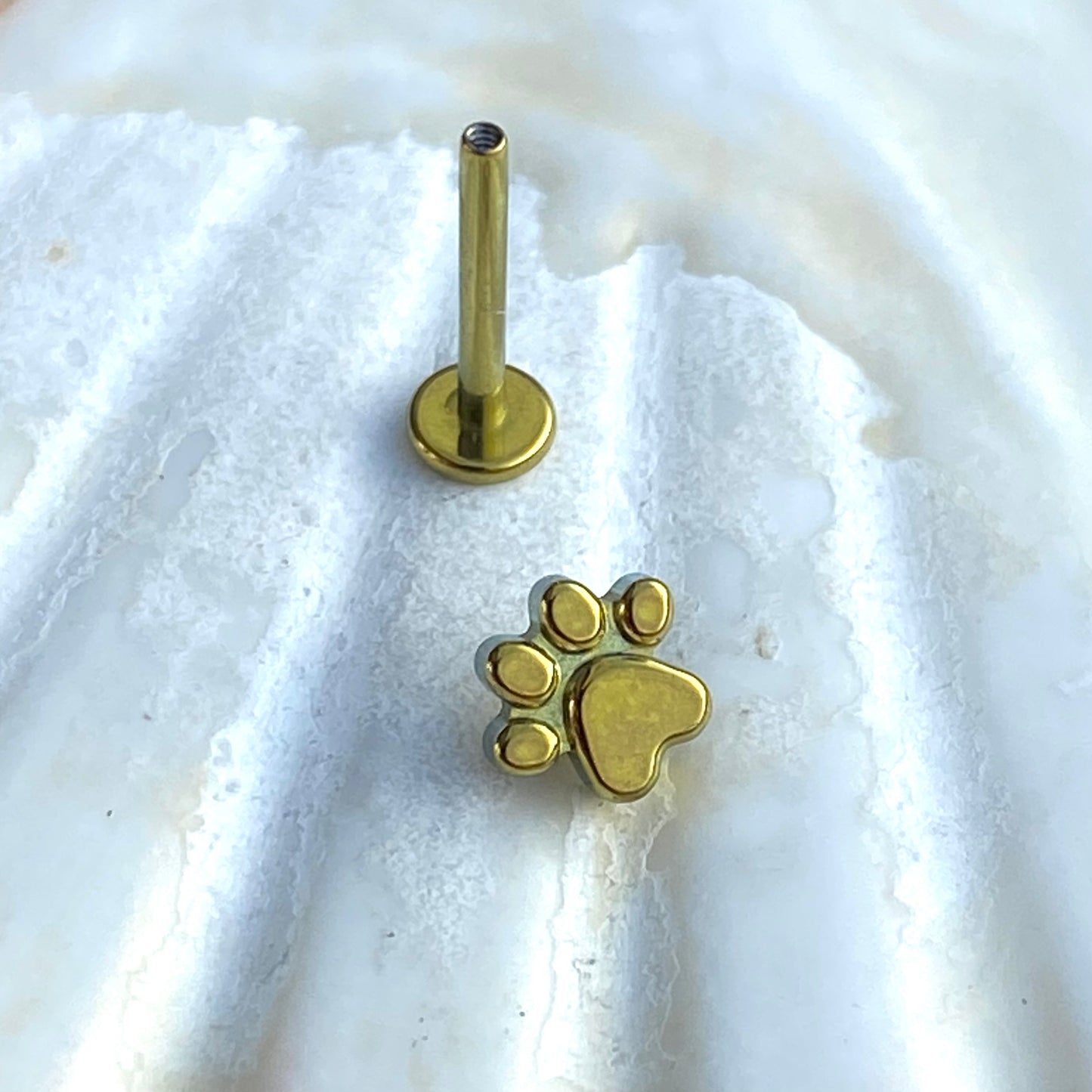 Gold ANODIZED PAW Print Top Implant Grade ASTM:F-136 Titanium Labret 1.2x6/8/10mm Earring Internal Thread Cartilage Helix stud