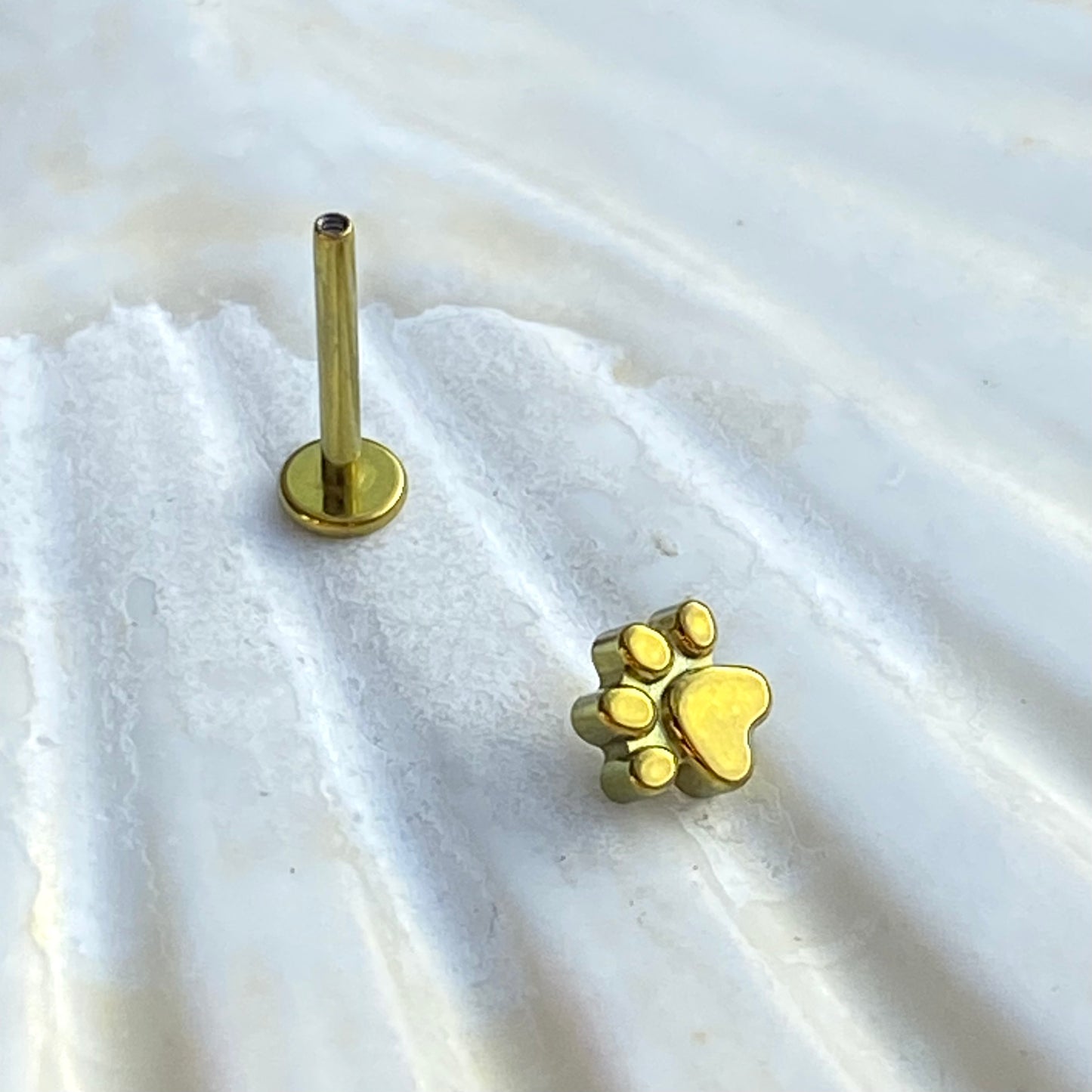 Gold ANODIZED PAW Print Top Implant Grade ASTM:F-136 Titanium Labret 1.2x6/8/10mm Earring Internal Thread Cartilage Helix stud