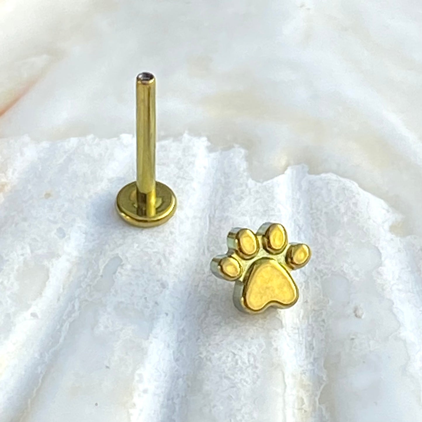 Gold ANODIZED PAW Print Top Implant Grade ASTM:F-136 Titanium Labret 1.2x6/8/10mm Earring Internal Thread Cartilage Helix stud