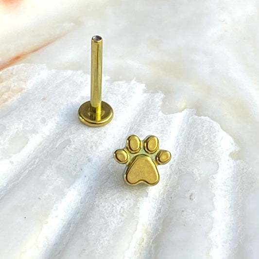 Gold ANODIZED PAW Print Top Implant Grade ASTM:F-136 Titanium Labret 1.2x6/8/10mm Earring Internal Thread Cartilage Helix stud