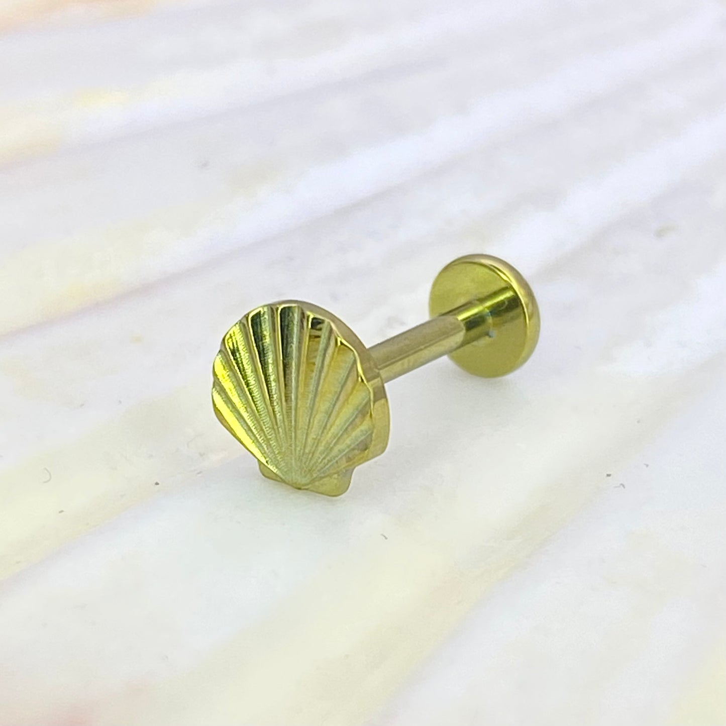 Gold Anodized Sea SHELL Disc Top Internal Thread Medical grade titanium ASTM F136 Labret Stud Tragus Lobe Helix Flat Jewellery size:1.2x8mm