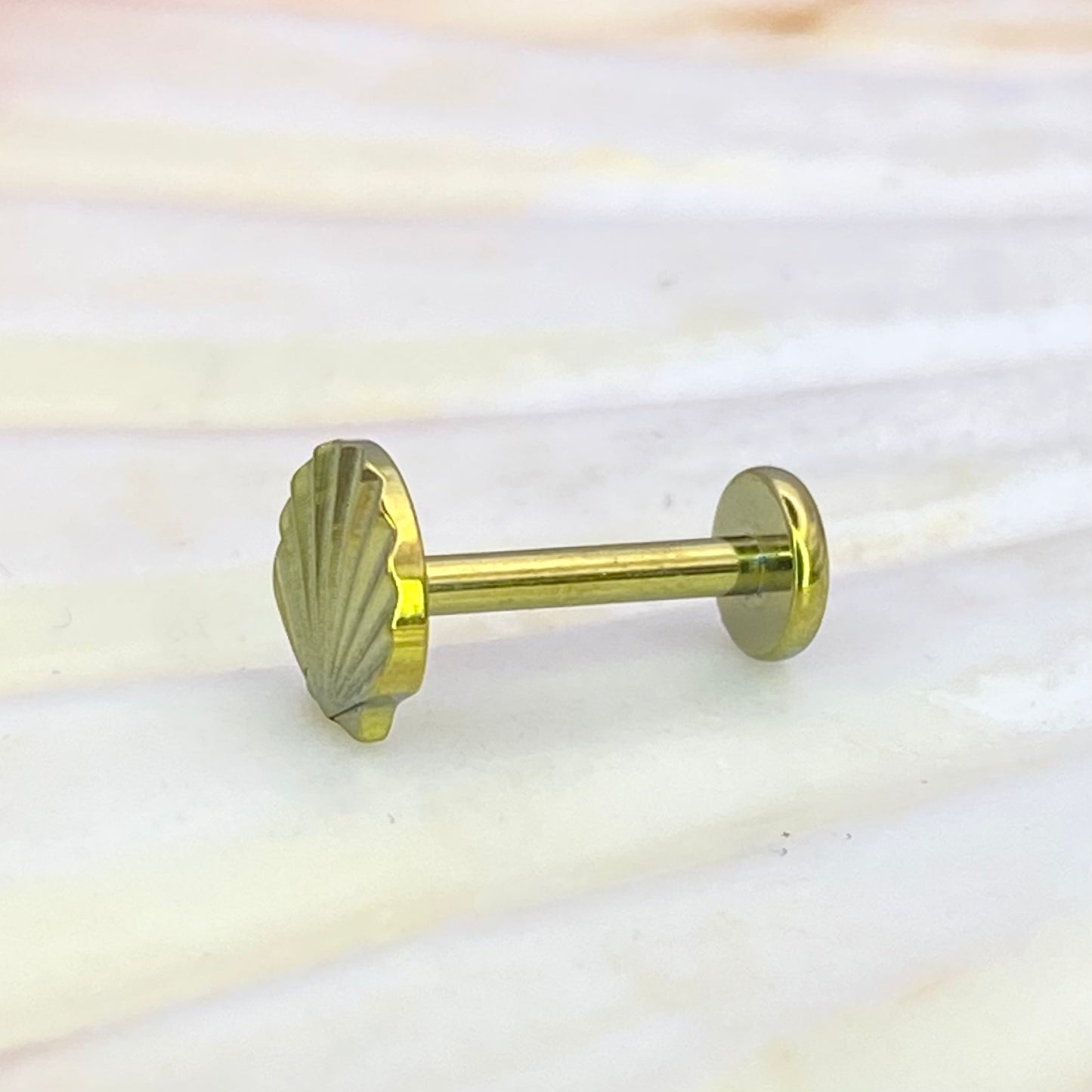 Gold Anodized Sea SHELL Disc Top Internal Thread Medical grade titanium ASTM F136 Labret Stud Tragus Lobe Helix Flat Jewellery size:1.2x8mm