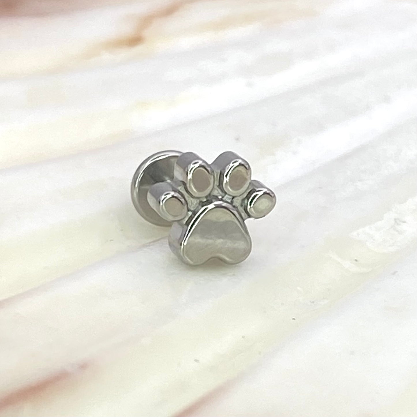 PAW Print Top Implant Grade ASTM:F-136 Titanium Labret 1.2x6/8/10mm Earring Internal Thread Cartilage Helix stud