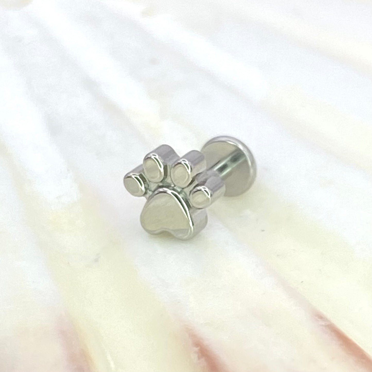 PAW Print Top Implant Grade ASTM:F-136 Titanium Labret 1.2x6/8/10mm Earring Internal Thread Cartilage Helix stud