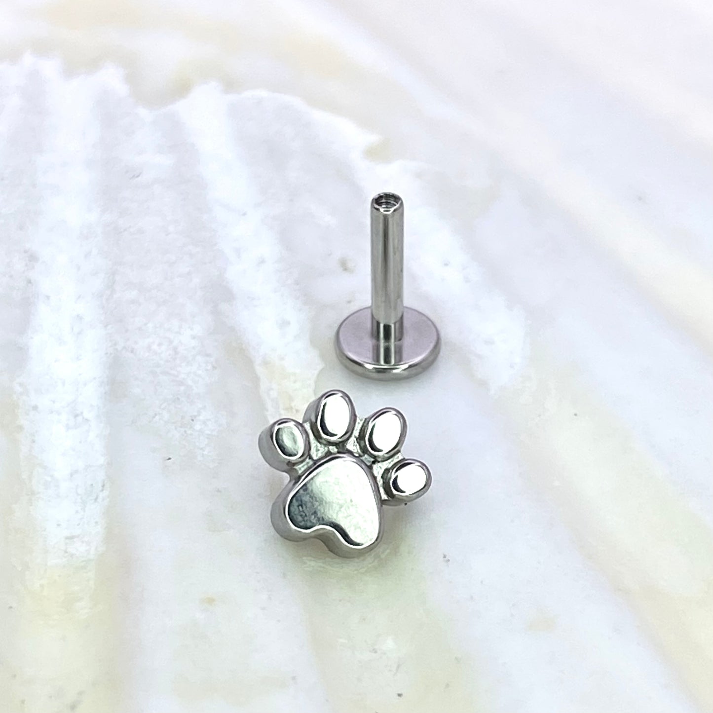 PAW Print Top Implant Grade ASTM:F-136 Titanium Labret 1.2x6/8/10mm Earring Internal Thread Cartilage Helix stud