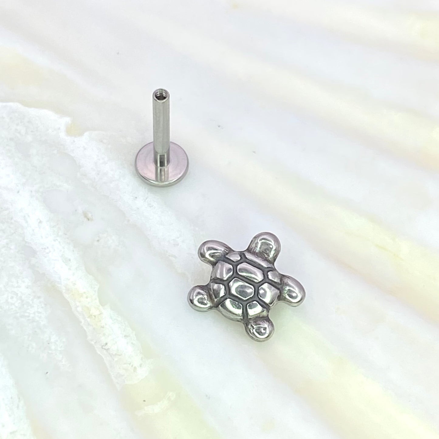 TURTLE Top Internal Thread Medical grade titanium ASTM F136 Labret Stud Lobe Helix Flat jewellery