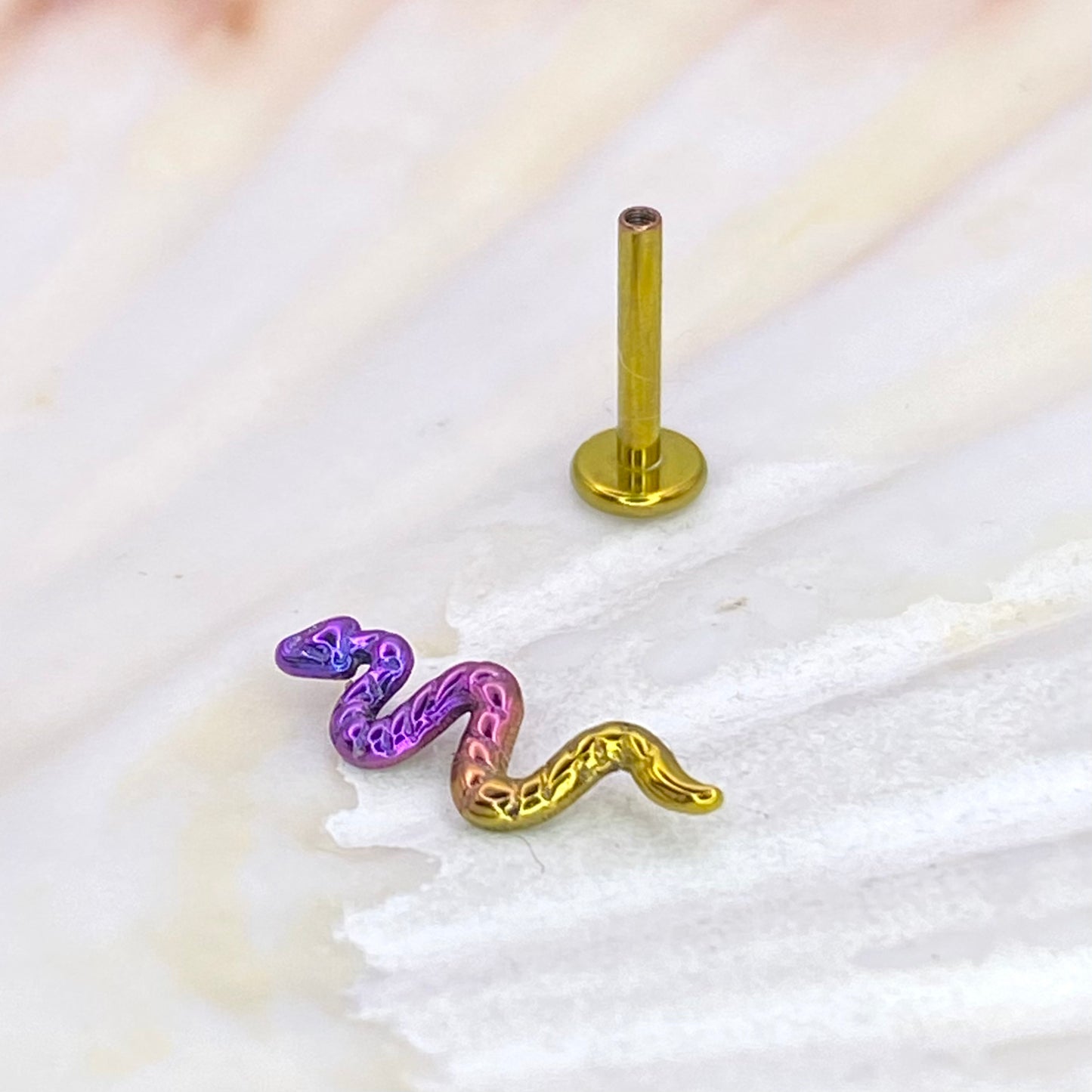 Gold Tailed Vibrant Purple Head Anodized Snake top Medical grade ASTM:F-136 titanium Labret 1.2x8mm lobe helix cartilage flat conch tragus