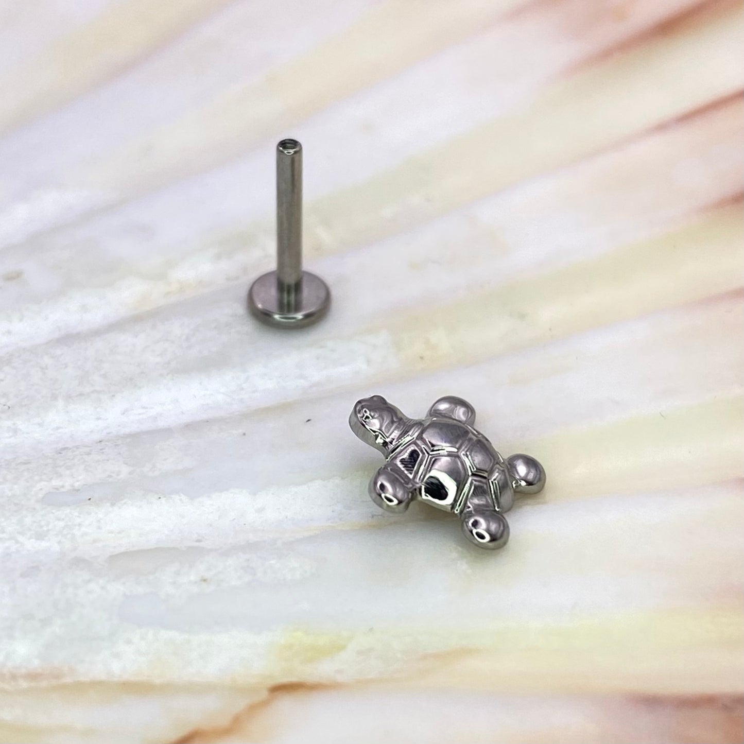 TURTLE Top Internal Thread Medical grade titanium ASTM F136 Labret Stud Lobe Helix Flat jewellery