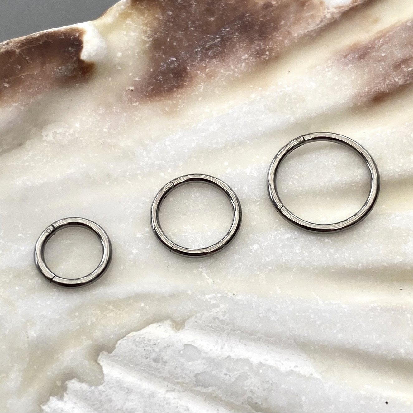 Medical Grade Titanium Hinged Seamless Segment Ring Clicker Hoop for Conch, Tragus, Helix, Lobe, Nose, Septum Piercings