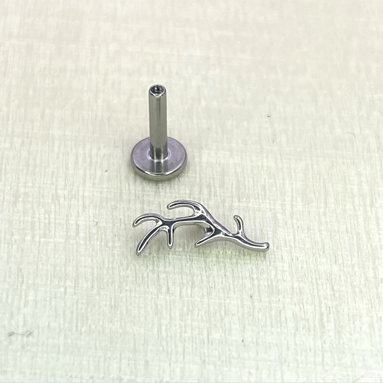 Tiny ANTLER Internal Thread Top Medical grade titanium ASTM F136 Labret Stud Lobe Helix Flat Tragus piercing jewellery  size:1.2 x 6/8/10mm