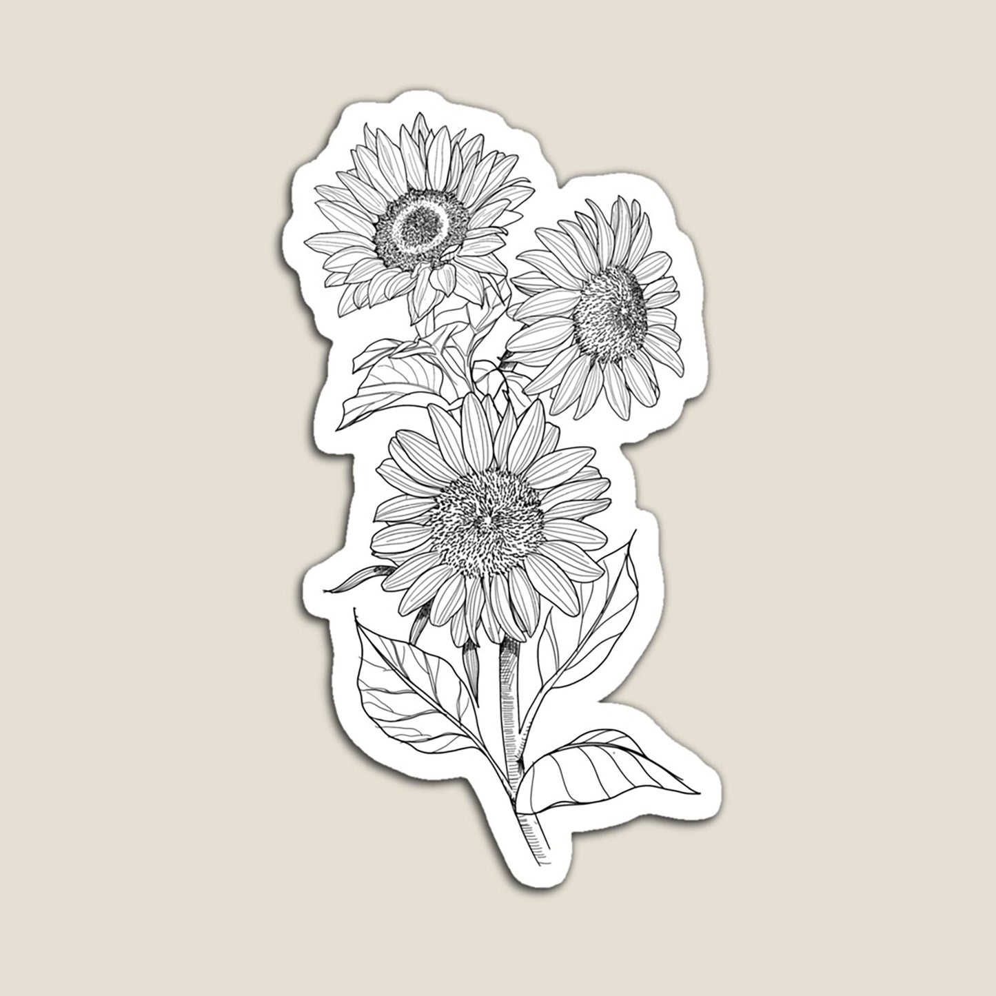 3 Sunflowers Blooming, Line drawing, Plant Clip Art, Digital Downloads, Screenprinting, Cardmaking, JPG, PNG, SVG