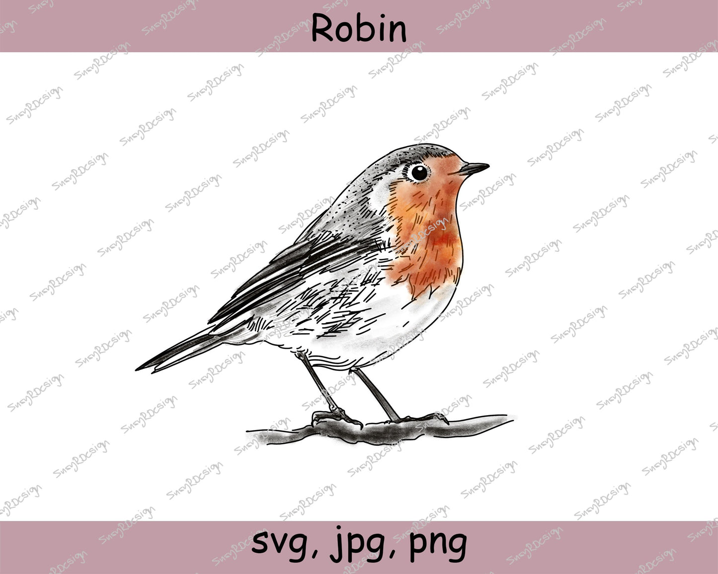 Little Robin clipart, drawing, illustration, design, Christmas card element, SVG, PNG JPG