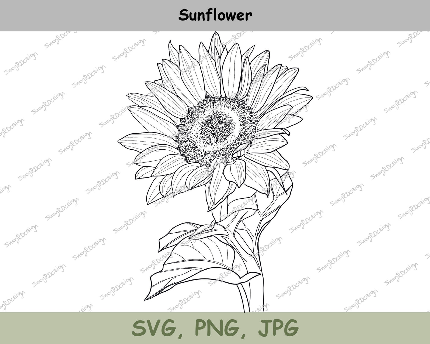 Blooming Sunflower Line drawing, Plant Clip Art, Digital Downloads, Screenprinting, Cardmaking, JPG, PNG, SVG