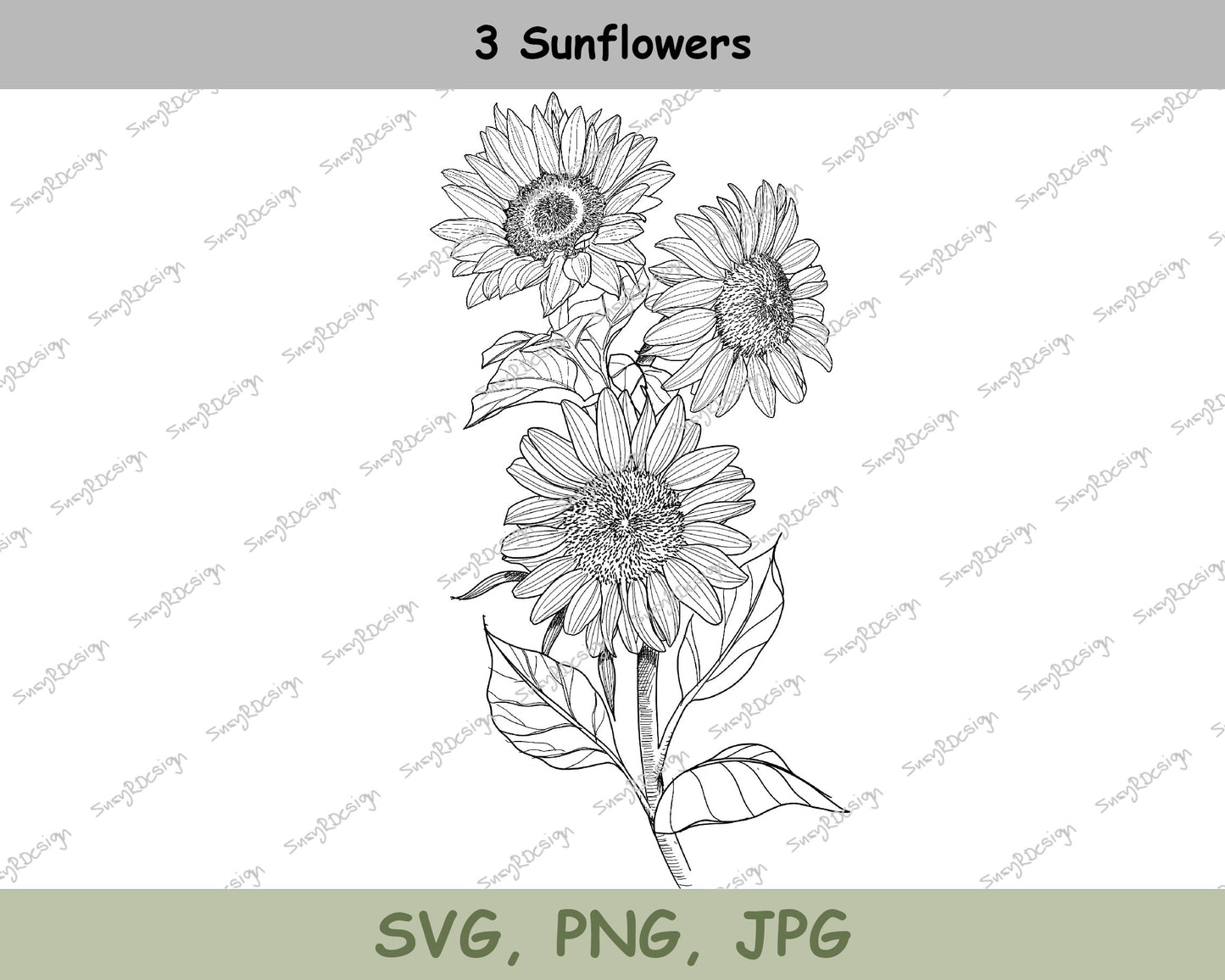 3 Sunflowers Blooming, Line drawing, Plant Clip Art, Digital Downloads, Screenprinting, Cardmaking, JPG, PNG, SVG