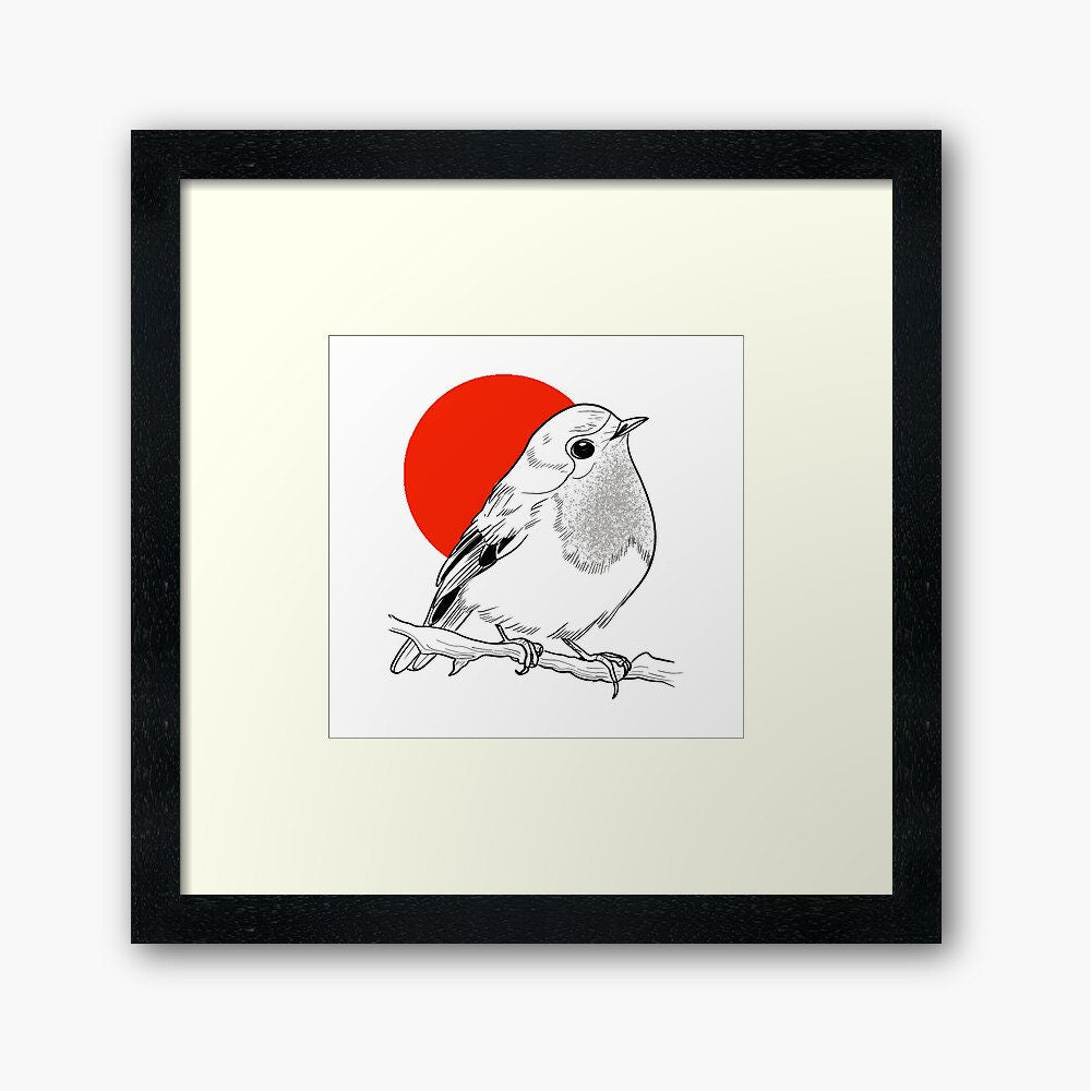 Robin little bird illustration digital files JPG PNG SVG