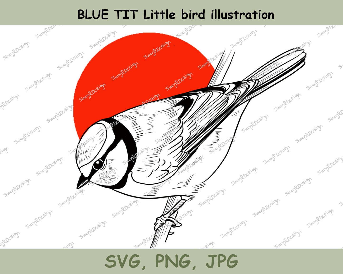 Blue Tit little bird illustration digital files JPG PNG SVG