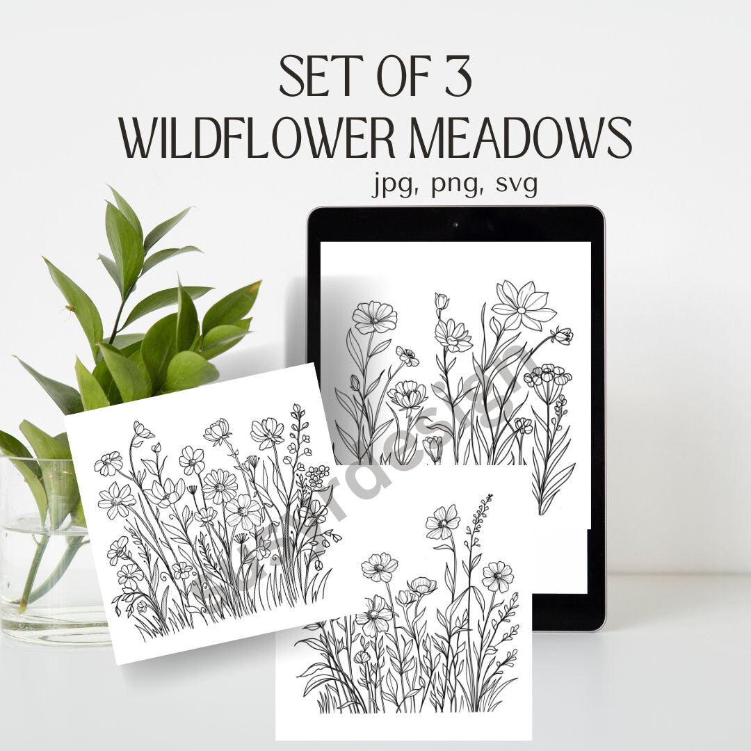 Wildflower Meadow Set of 3 Line Drawings, illustration svg, wildflower svg, cricut svg, fine line design, wildflower print, SVG, PNG JPG