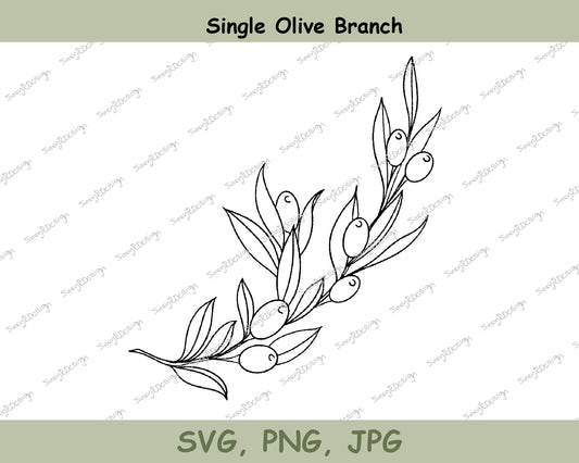 Elegant Curved Olive Branch Illustration, Fine Line Drawing Featuring Long Leaves and Olives, olive branch svg, olive print, SVG, PNG JPG